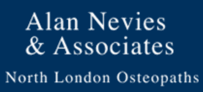 Alan Nevies & Associates logo