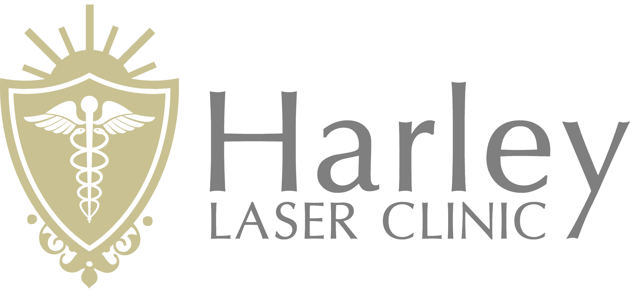 practice logo